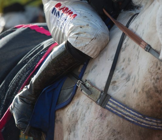 fromthehorsesmouth.info cleans up at Bath with 146-1 treble!