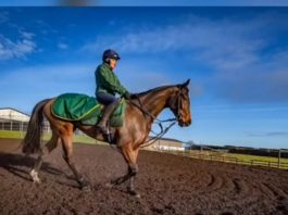 Lady Buttons back in training