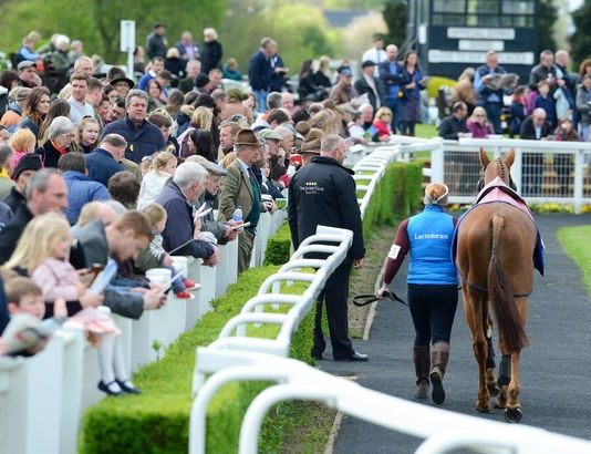 2,625,894.35 fromthehorsesmouth.info Accumulator – 14 winners White Walker ridden by Charlie Hammond at Market Rasen completed fromthehorsesmouth.info 14 winning tips.