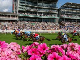 Snowfall English, Irish and Darley Yorkshire Oaks bid