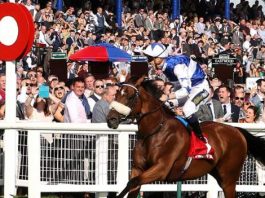 Bielsa bags £150,000 Ayr Gold Cup tipped by fromthehorsesmouth.info Bielsa: Ayr Gold Cup win.