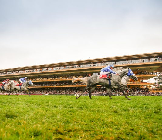 Tarnawa eyes £4.3m Arc de Triomphe - Europe's richest race