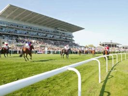 Racing Previews news and tips Saturday: Cheltenham Punchestown Lingfield Uttoxeter Wetherby Wolverhampton Racing Previews news and tips Saturday