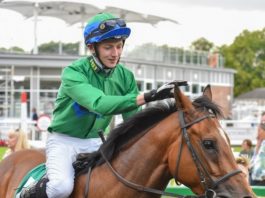 Tom Midgley: Drumconnor Lad (2.12) Wetherby.