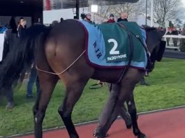 Chantry House gritty win in Cheltenham G2 Paddy Power Cotswold Chase