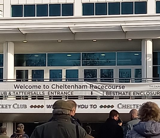 Pied Piper lands Cheltenham Triumph Trial Juvenile Hurdle