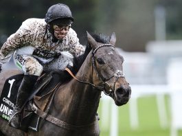 Constitution Hill wins the @UnibetRacing  Tolworth Novices’ Hurdle