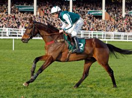 Cheltenham – L’Homme Presse lands G2 Paddy Power Novices Chase L'Homme Presse lands G2 Paddy Power Novices Chase