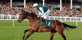 L'Homme Presse lands G2 Paddy Power Novices Chase