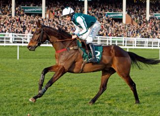L'Homme Presse lands G2 Paddy Power Novices Chase