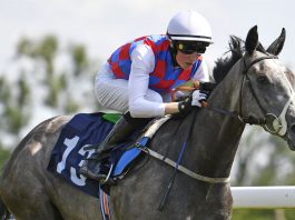 Ross Coakley rode fromthehorsesmouth.info tip Chance to Betway Handicap Lingfield win. (Twitter)
