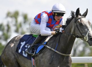 Ross Coakley rode fromthehorsesmouth.info tip Chance to Betway Handicap Lingfield win. (Twitter)