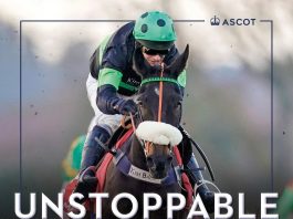 Shishkin in shape ahead of Clarence House Energumene clash Shishkin in shape ahead of Clarence House Energumene clash