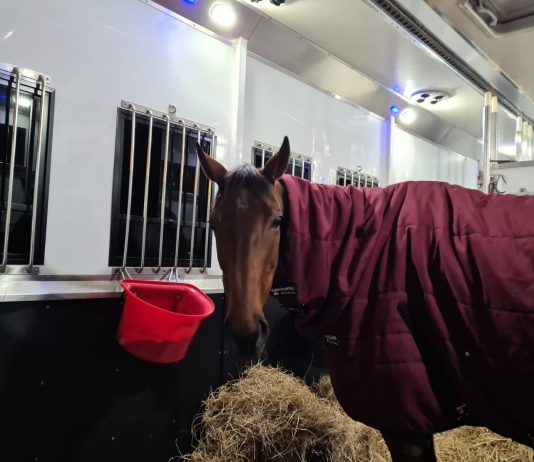 Fakir D'Oudairies tipped by fromthehorsesmouth.info Ascot Grade 1 Chase glory