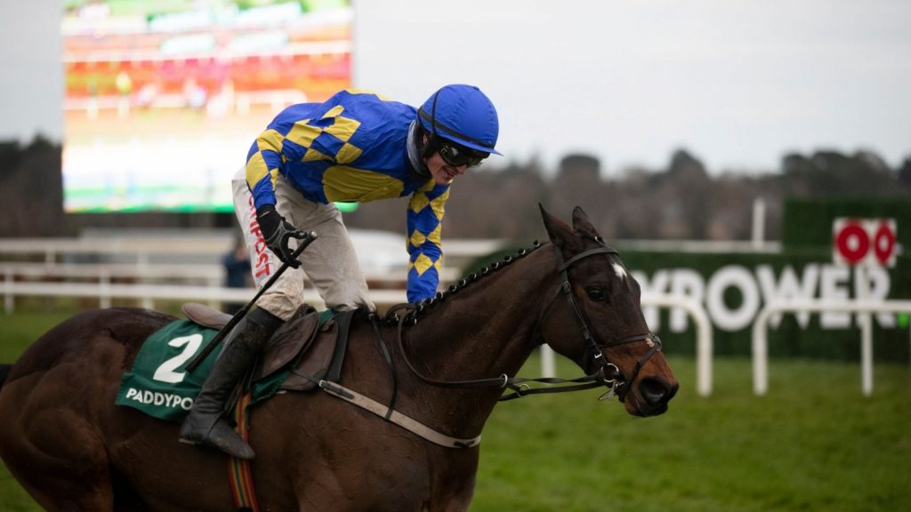 Last years winner of the Irish Gold Cup Kemboy for Willie Mullins. Image Leopardstown Racecourse Twitter