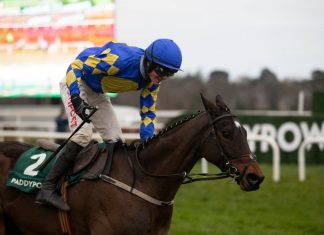Last years winner of the Irish Gold Cup Kemboy for Willie Mullins. Image Leopardstown Racecourse Twitter