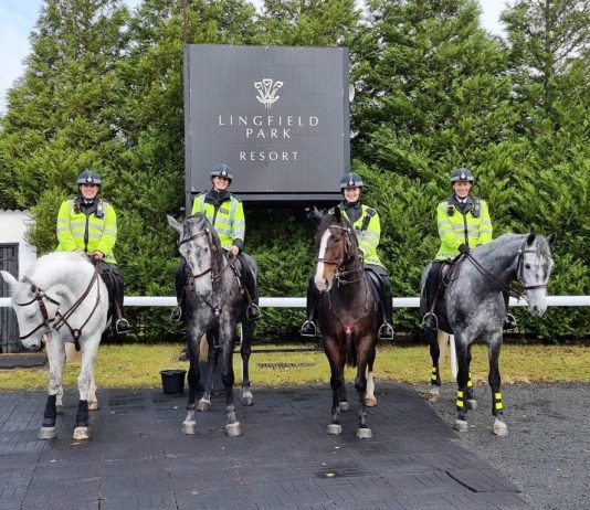 Celtic Art Betway Lingfield win