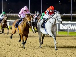 Alrehb wins MansionBet Handicap at Wolverhampton.