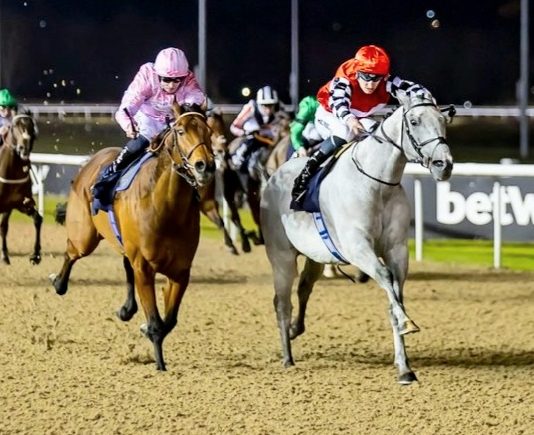 Alrehb wins MansionBet Handicap at Wolverhampton.