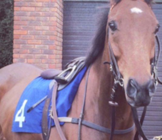 Ballyandy won Pertempts Network Handicap Hurdle at Chepstow.