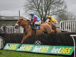 Brian Hughes rode Breizh Alko to win the Brit Plant Direct Handicap Chase