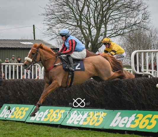 Brian Hughes rode Breizh Alko to win the Brit Plant Direct Handicap Chase