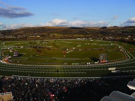 Cheltenham Festival fromthehorsesmouth.info 1,584-1 accumulator! Cheltenham Festival fromthehorsesmouth.info 1,584-1 accumulator!