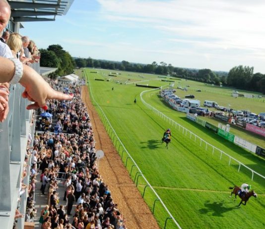 fromthehorsesmouth.info Nap hand at Fontwell Joshua Moore completed fromthehorsesmouth.info accumulator on Aggagio.