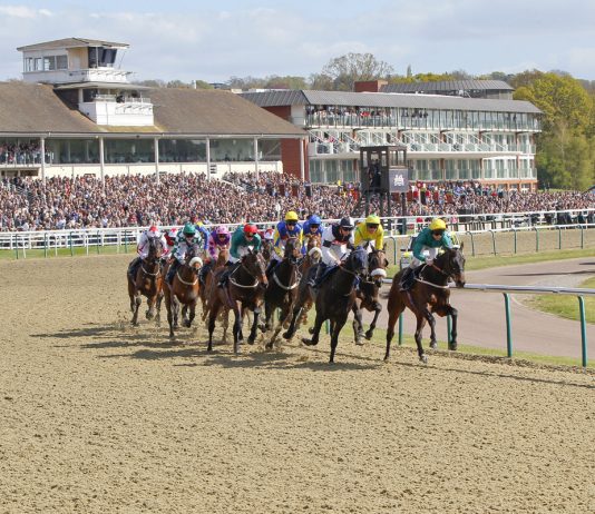 Tone The Barone tipped by fromthehorsesmouth.info Betway Lingfield win Tone The Barone tipped by fromthehorsesmouth.info Betway Lingfield win