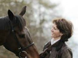 O’Brien ‘Painting The Dream’ at Newbury Venetia Williams saddles Fuji Flight (4.12) Bet Victor Handicap Chase.