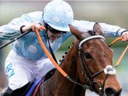 Rachael Blackmore rides Freddie Robdal (12.45) Tramore.