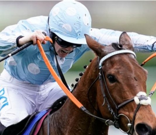 Rachael Blackmore rides Freddie Robdal (12.45) Tramore.