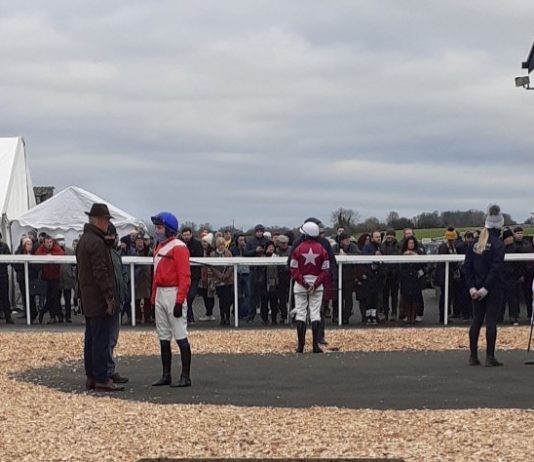 Gentlemansgame lands Thurles Carey Glass Hurdle