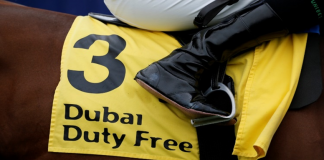 Harry Redknapp: Moktasaab Newbury Dubai Duty Free Millennium Millionaire Handicap win.