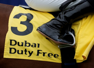 Harry Redknapp: Moktasaab Newbury Dubai Duty Free Millennium Millionaire Handicap win.