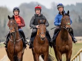 Trebling Up with fromthehorsesmouth.info