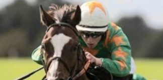 Michael O'Connor: Echoes Of Family (7-1) fromthehorsesmouth.info tip Fairyhouse BoyleSports Mares win.