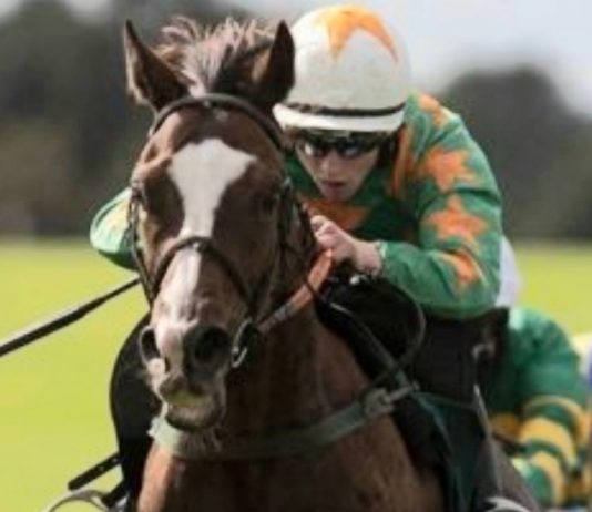 Fairyhouse – Echoes Of Family 7-1 wins BoyleSports Handicap chase Michael O'Connor: Echoes Of Family (7-1) fromthehorsesmouth.info tip Fairyhouse BoyleSports Mares win.