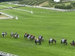 Grand Steeple-Chase de Paris