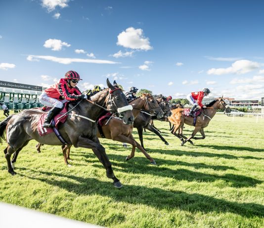 Racing Haydock Park