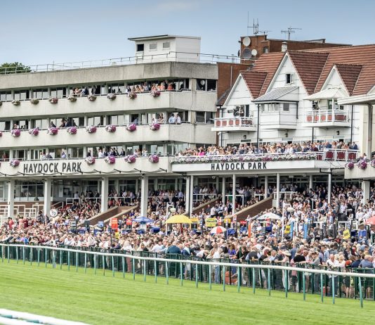 Haydock Park – Lil Guff tipped by fromthehorsesmouth.info wins Cazoo Edge Green Handicap