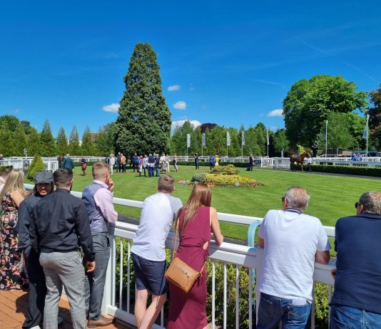 Lingfield Park Racecourse