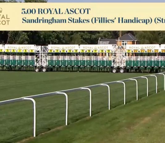 Heredia completes fromthehorsesmouth.info 202-1 accumulator! Heredia completes fromthehorsesmouth.info 202-1 accumulator!