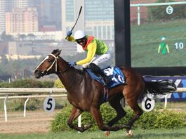 The most talked-about and prestigious races in the Indian racing calendar are collectively known as the “Classics.” They include the Indian Derby, Indian 1,000, and Bangalore Derby. These are the races that attract the most attention from fans, the media, and bookmakers.