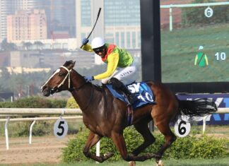 The most talked-about and prestigious races in the Indian racing calendar are collectively known as the “Classics.” They include the Indian Derby, Indian 1,000, and Bangalore Derby. These are the races that attract the most attention from fans, the media, and bookmakers.