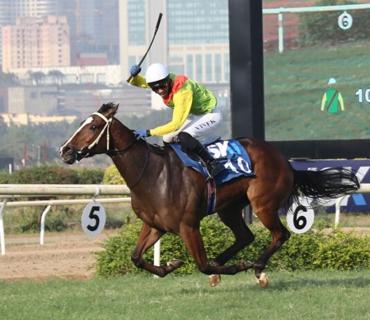 The most talked-about and prestigious races in the Indian racing calendar are collectively known as the “Classics.” They include the Indian Derby, Indian 1,000, and Bangalore Derby. These are the races that attract the most attention from fans, the media, and bookmakers.